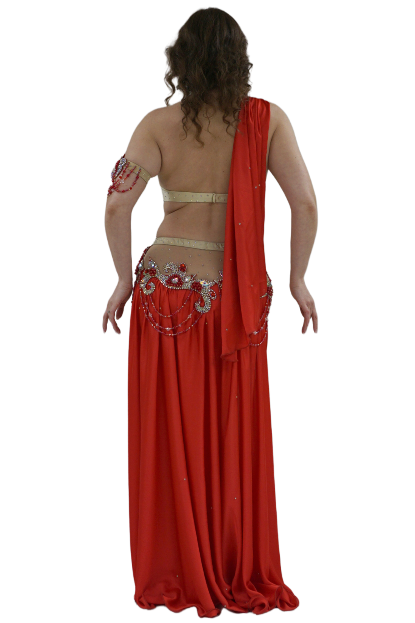 Raks sharki cabaret costume