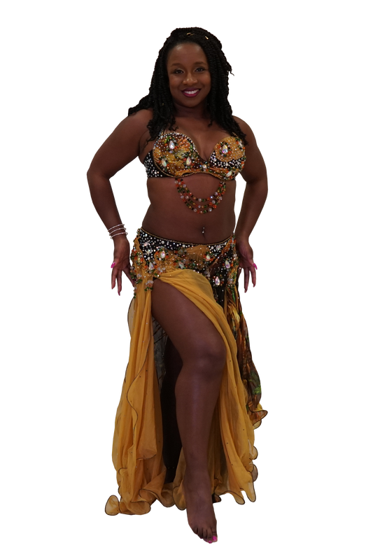 belly dance costume