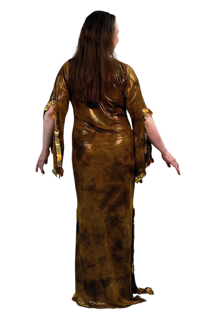 A woman viewed from the back wearing a floor-length metallic brown dress with wide three-quarter sleeves and gold trim along the sleeve edges, set against a plain white background.