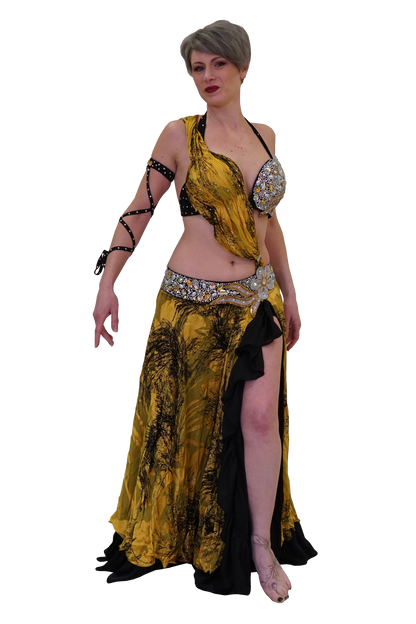 Bellydance costume