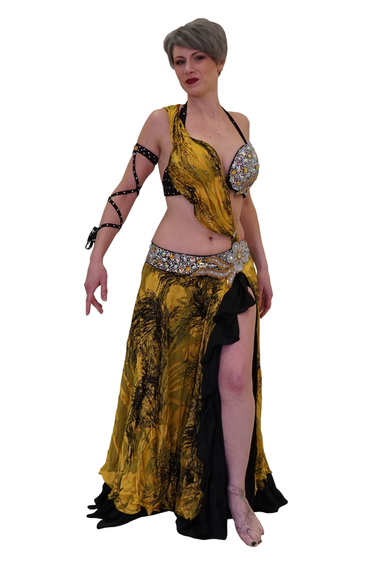 Bellydance costume