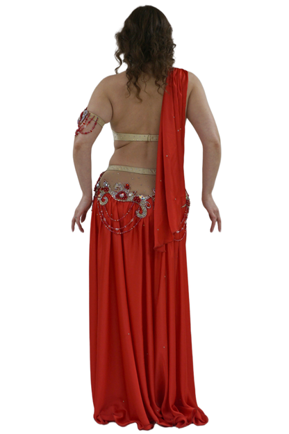 Raks sharki cabaret costume