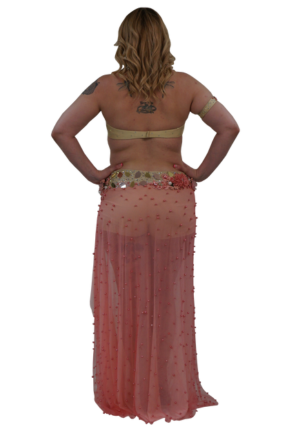 A woman shown from the back wearing a sheer pink belly dance skirt with red sequins and a gold embellished shorts, set against a plain white background.