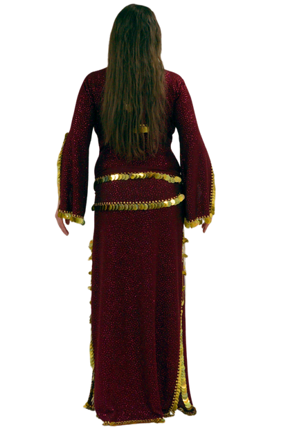 Maroon dress with gold trim on a white background
